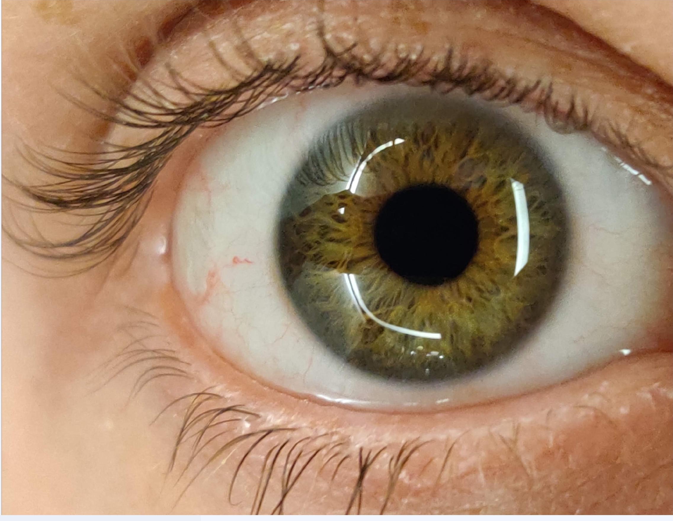 Macro shot of a green-hazel human eye
