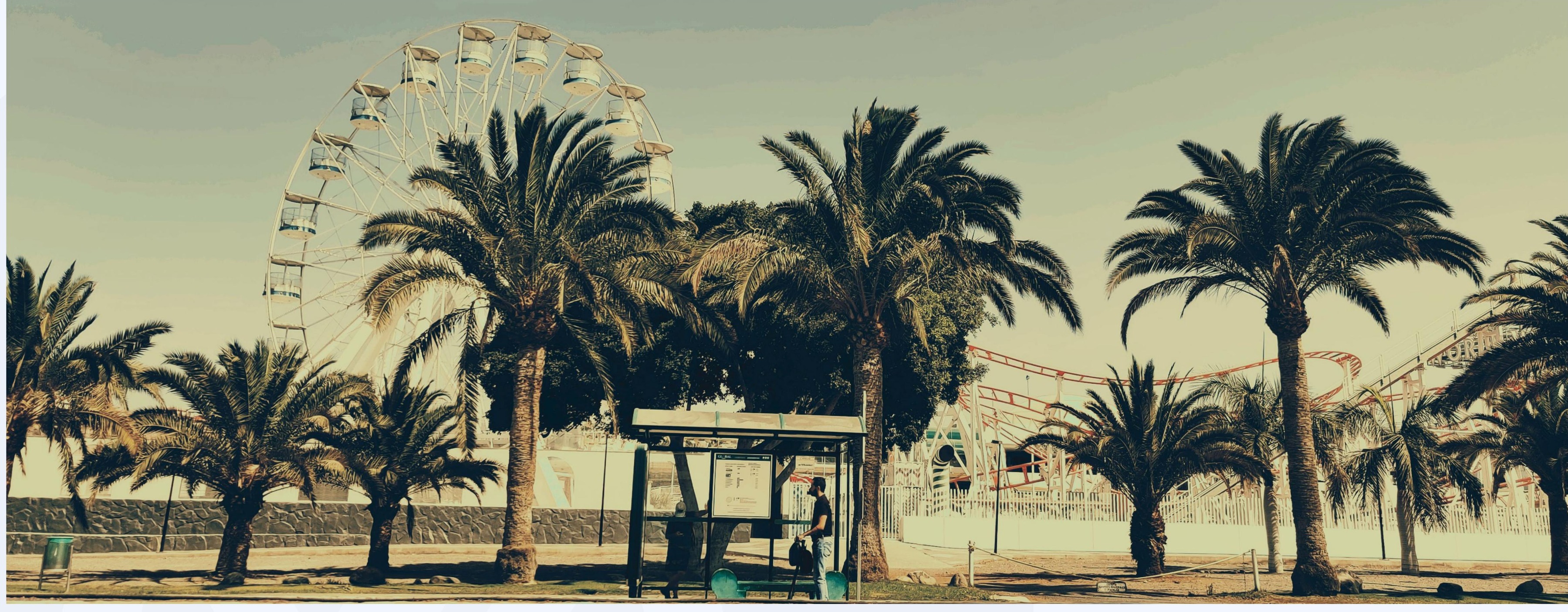 Ferris wheel and palm trees at a seaside amusement park